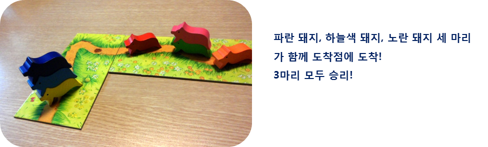 파란 돼지, 하늘색 돼지, 노란 돼지 세마리가 함께 도착점에 도착. 3마리 모두 승리